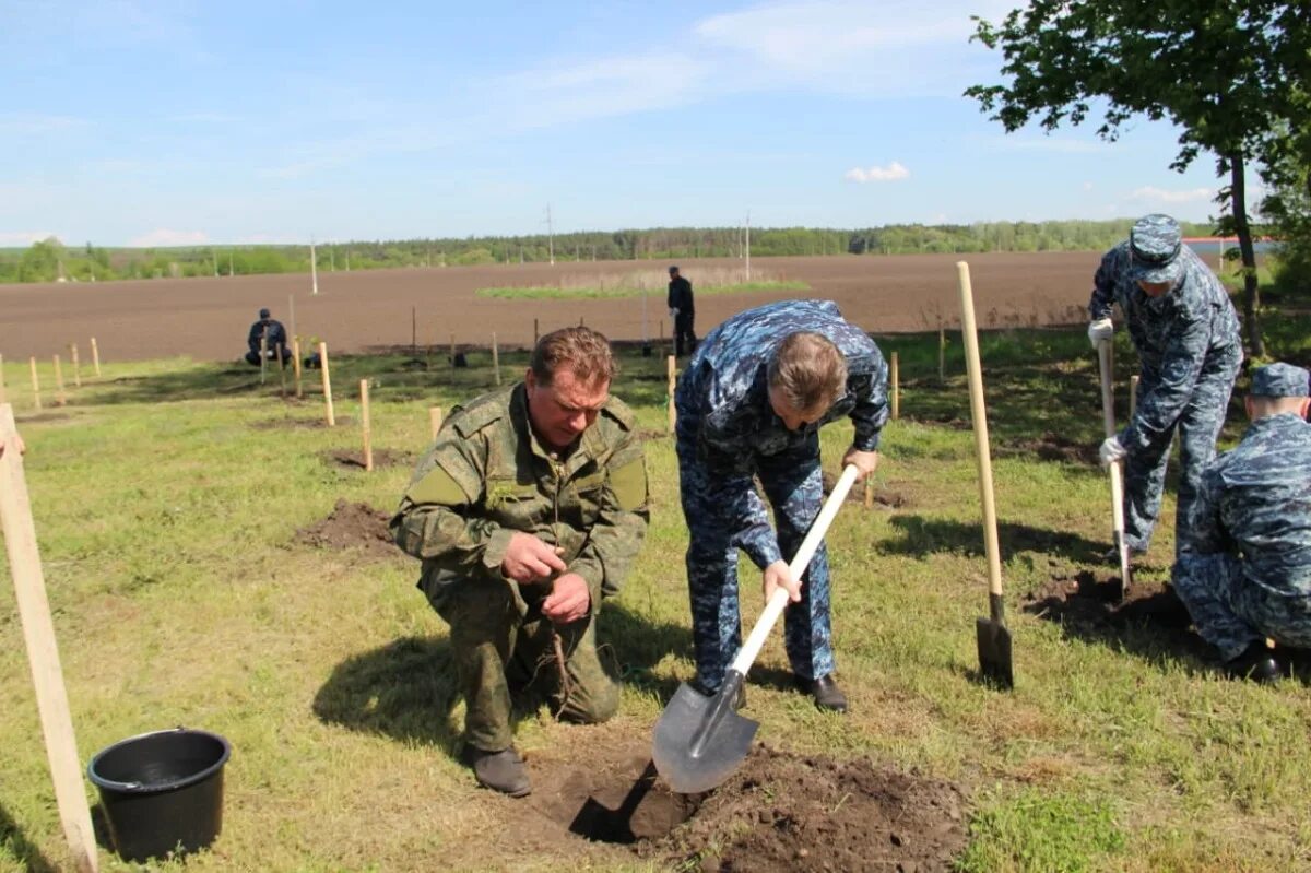 Высадка в белгородской области. Грайворон стрельба. Грайворон снаряд. Грайворон Белгородская область обстрел.