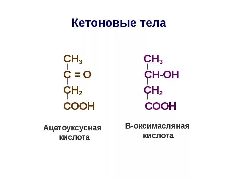 Сн3-СН=СН-соон. Кетоновые тела. СН 2 (он)СН(он)соон. Соон-сн2-соон. Группа соон является