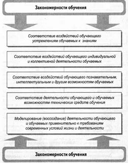 Закономерности основные принципы обучения и воспитания