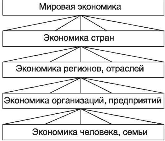 Мировая экономика какая. Мировая экономика схема. Мировое хозяйство схема. Международная экономика схема. Глобальная схема фирм в экономике.