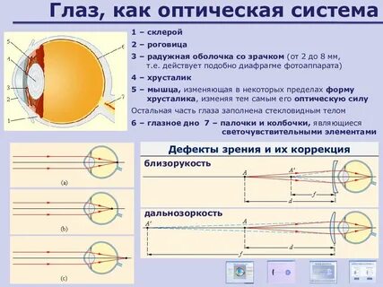 Область применения глаза