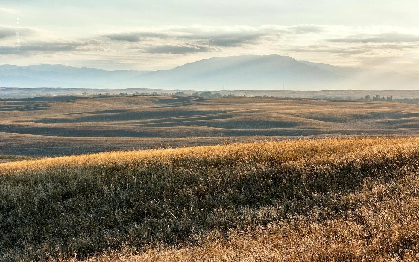 Природная зона равнины алтая. Кулундинская степь Алтайский край. Кулундинская равнина Алтайский край. Степь Учжумуцинь. Зоны степь лесостепь Алтайский край.