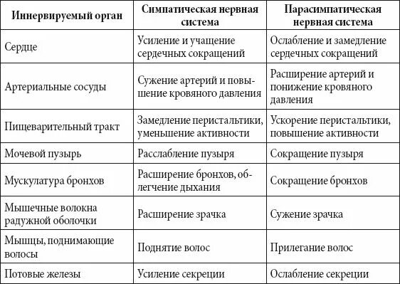 Парасимпатическая вегетативная нервная система функции. Функции вегетативной нервной системы таблица. Симпатический отдел вегетативной нервной системы функции. Отделы вегетативной нервной системы таблица. Симпатическая и парасимпатическая нервная система отличия таблица.