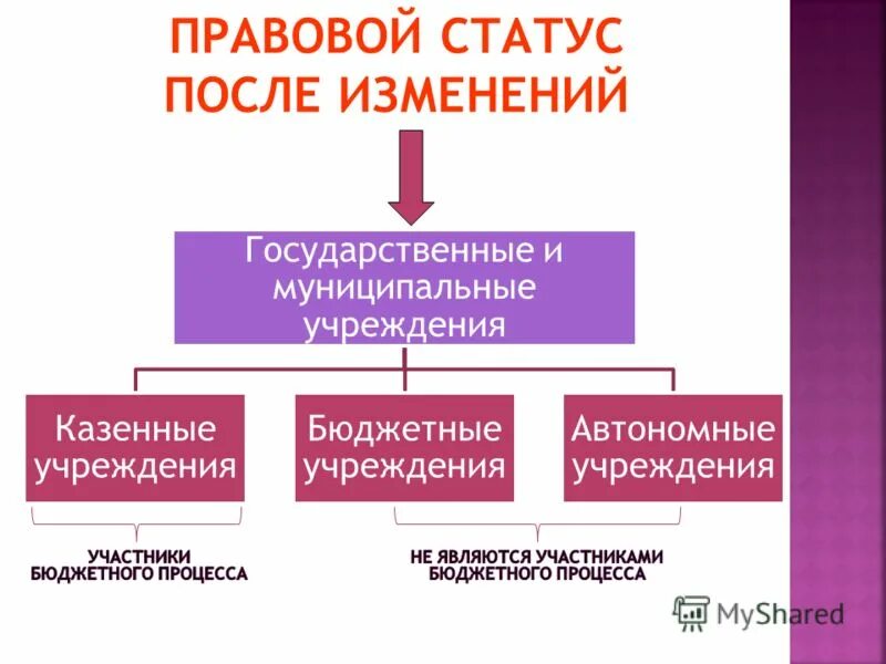 Государственные и муниципальные учреждения статья. Статус бюджетных учреждений. Что такое государственный статус организации. Правовой статус бюджетного учреждения. Правовое положение государственных и муниципальных учреждений.