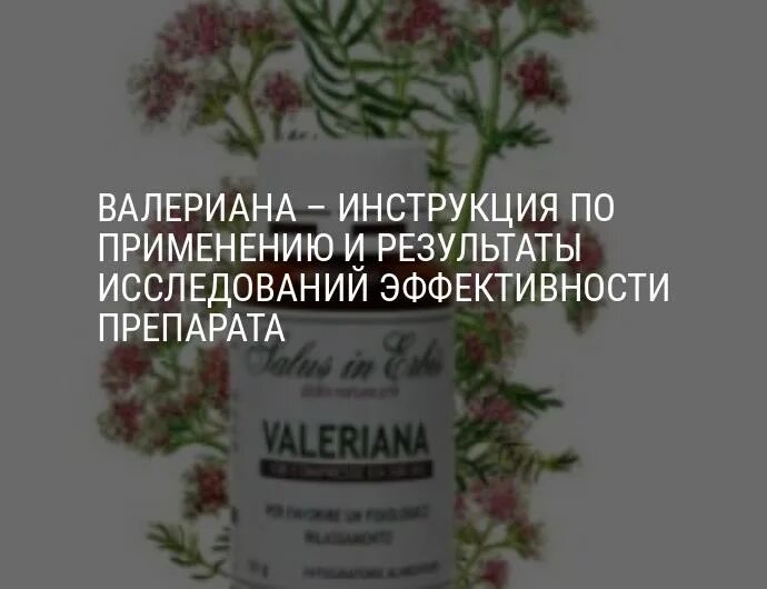 Можно пить валерьянку при беременности. Валериана показания. Для ЖКТ валерьянка. Валериана воздействие на человека. Валерьянка влияние.