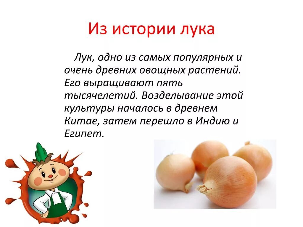 Рассказ о луке. Лук с надписью для детей. Рассказ о луке. Проект лук зеленый друг. Лук презентация для детей.