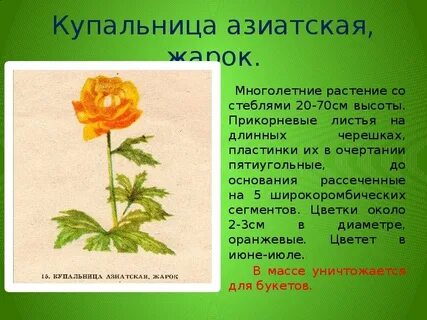 Иркутская красная книга