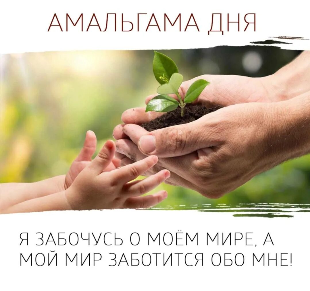 Мир заботится обо мне. Мой мир заботится обо мне. Мир заботится обо мне. Мой мир заботится обо мне картинки. Мой мир заботится.