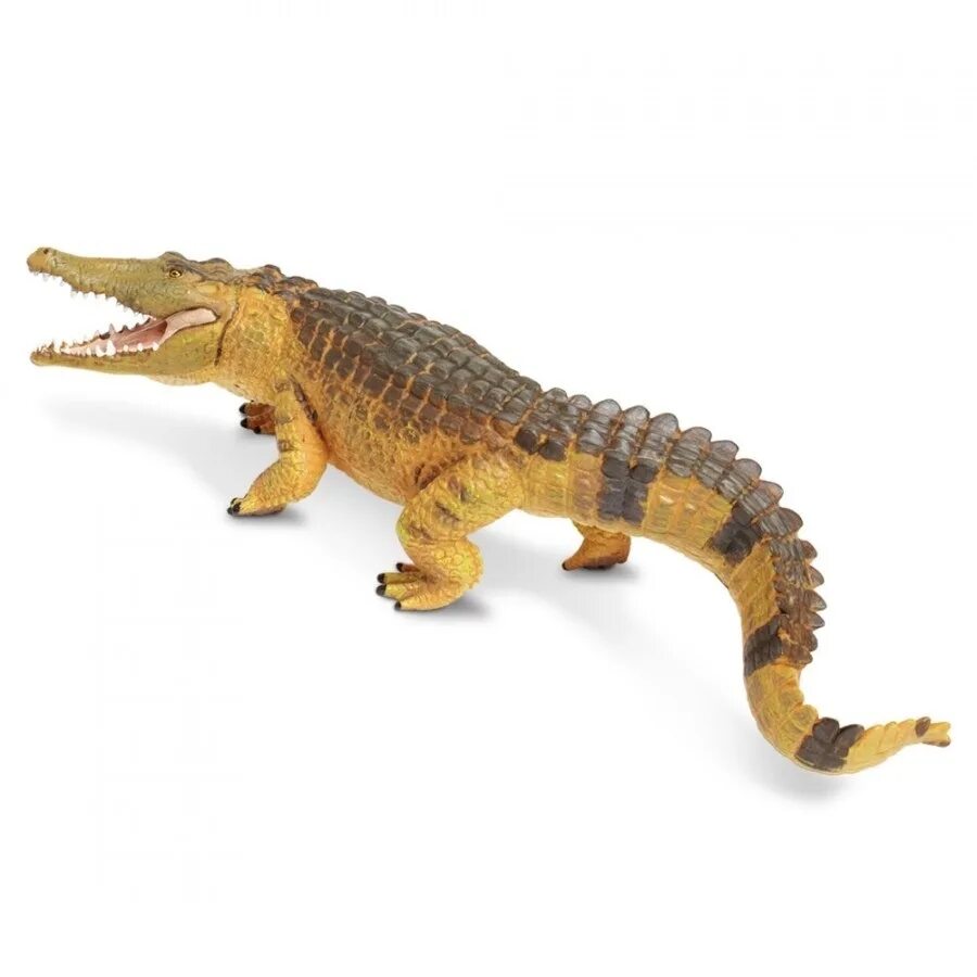 Игрушечный крокодил на пульте. Покажи игрушки крокодила. Игрушка д/собак бронированная крокодил 11,5см плюшевая 66233. Игра крокодил дантист. Крокодил 100 см игрушка.