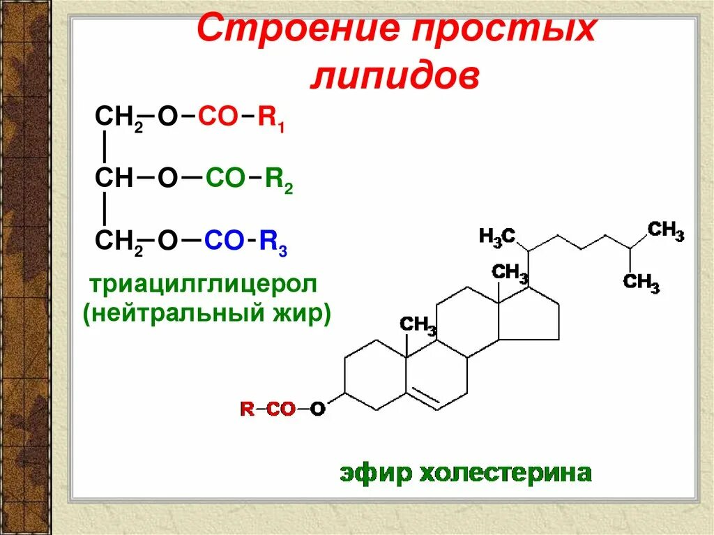 Защитный липид. Строение липидов. Состав простых липидов. Строение липидов формула. Строение простых липидов.