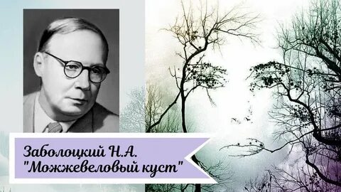 Я кустов услышал чаща