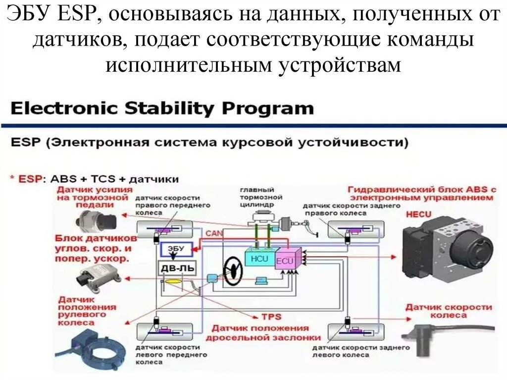 Esc в автомобиле что это. Система стабилизации (ESP). Электронный контроль устойчивости ESP. Схема системы ESP. Система курсовой устойчивости ESP.