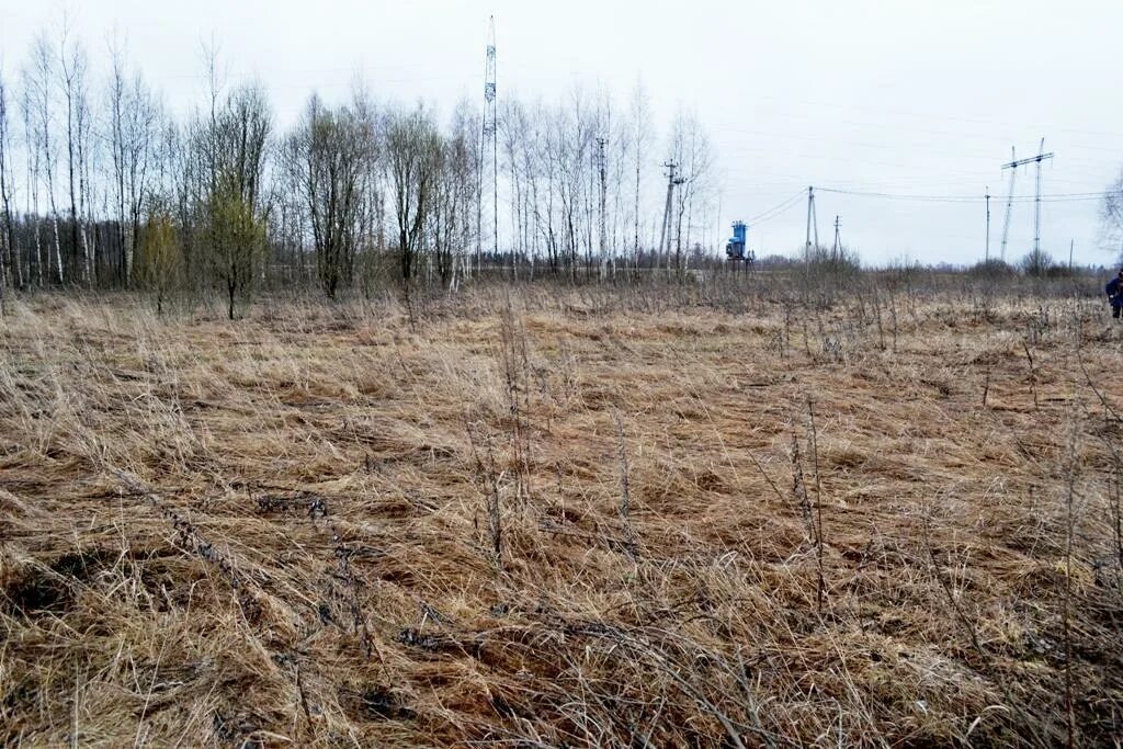 Погода в онуфриево истринского на 14 дней