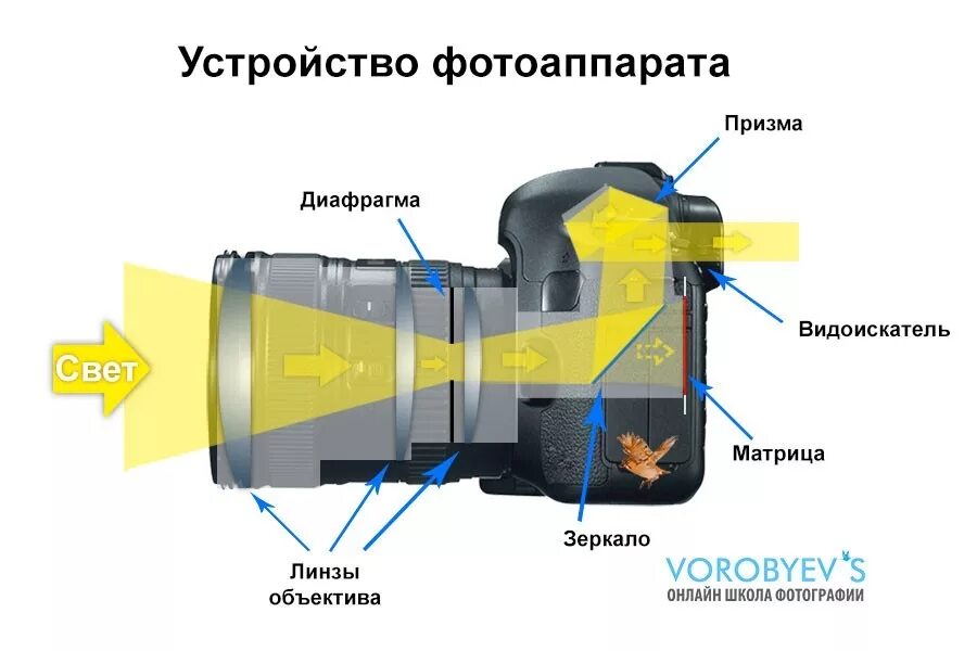 Принцип работы камеры. Принцип работы цифровой камеры схема. из чего состоит цифровой фотоаппарат. строение цифрового фотоаппарата. из чего состоит цифровой зеркальный фотоаппарат.