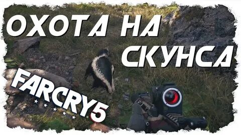 Фар край 5 скунс