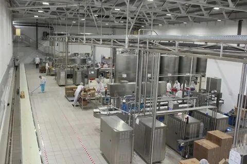 Multimedia factory отзывы