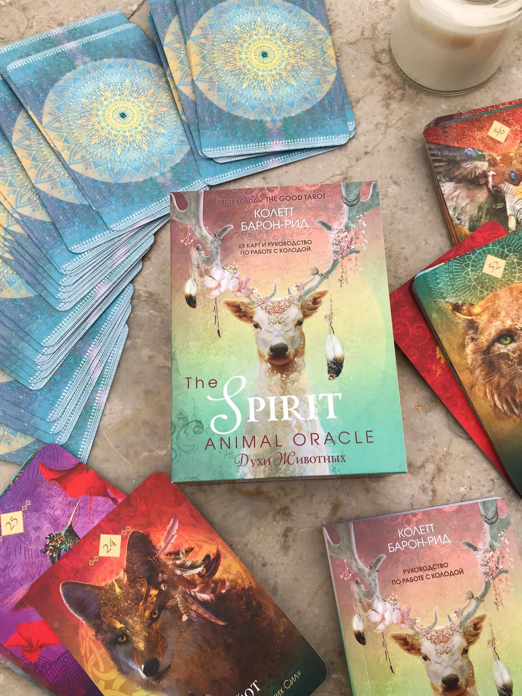 Animal oracul оракул spirit. Таро spirit animal oracle. Оракул духи животных галерея. Духи животных. Духи животных.