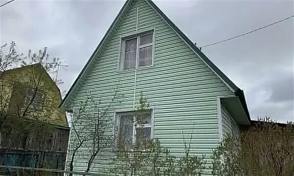 Снт кедр колыванский. Снт кедр колыванский