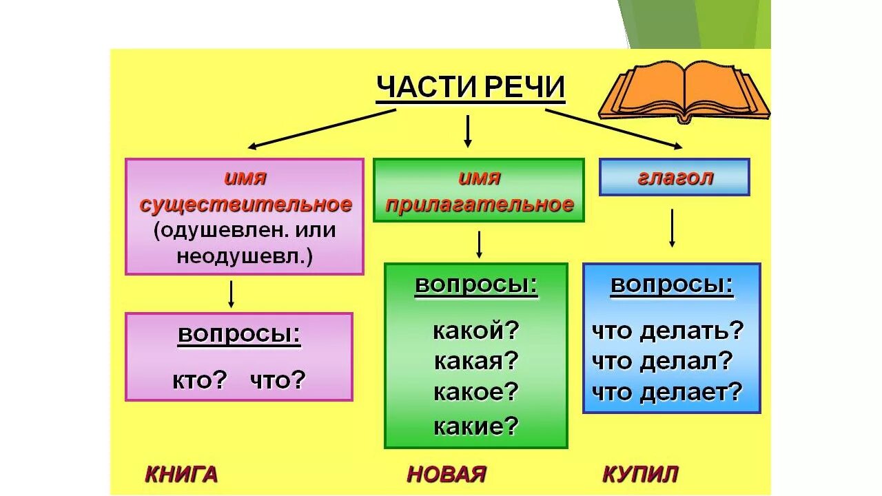 Таблица по русскому языку 2 класс части речи. Части речи в русском языке таблица 2 класс. Части речи 2 класс таблица. Схема частей речи в русском языке 3 класс.