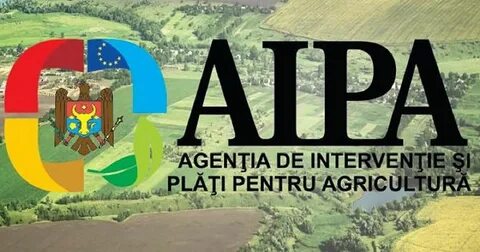 Ai pa