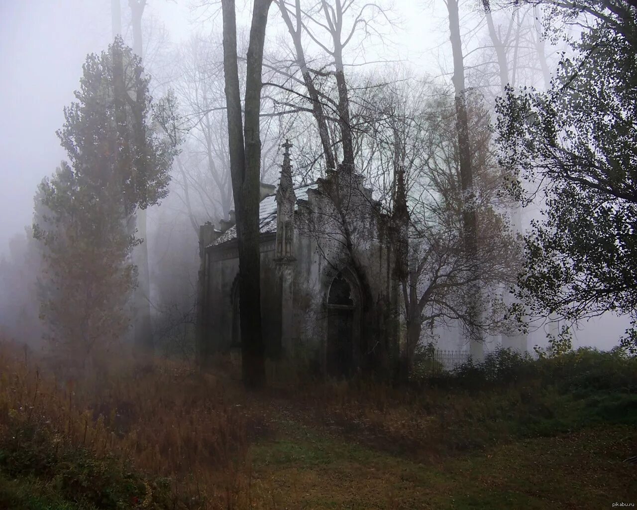 Заброшенная Церковь в лесу. Кладбище в тумане. Жуткие заброшенные церкви. Мрачное место.
