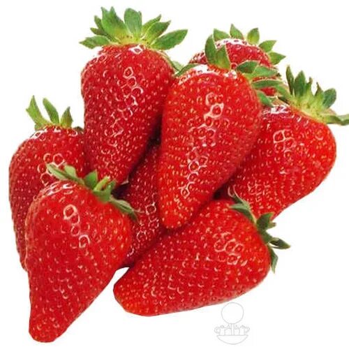 Земляника гигантелла максим. Земляника садовая теа. Сорт клубники скала. Яблоки сорт скала. Земляника садовая скала.