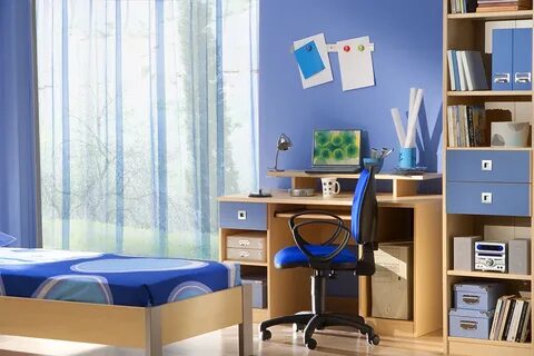 Study area