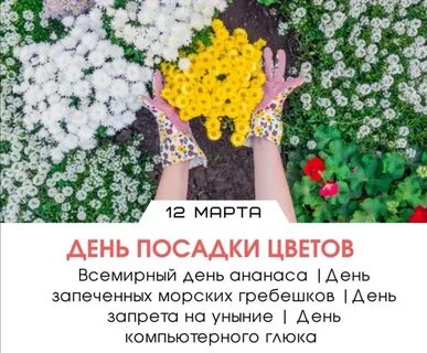 День глюка