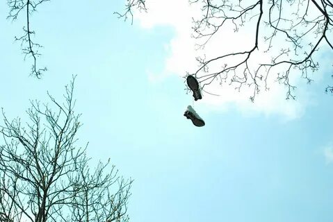 По весеннему небу
