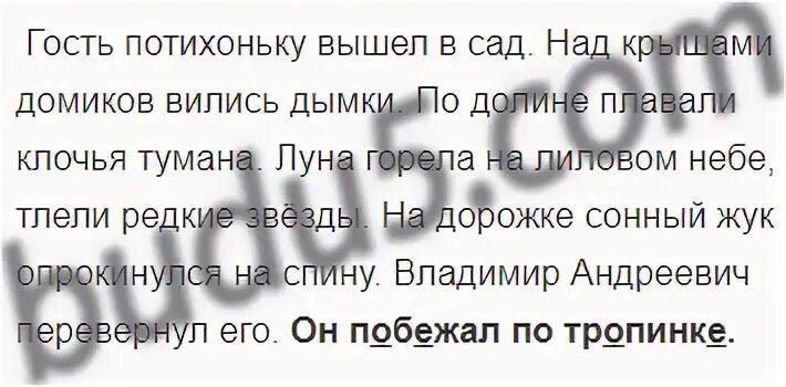 Младшая сестра слова