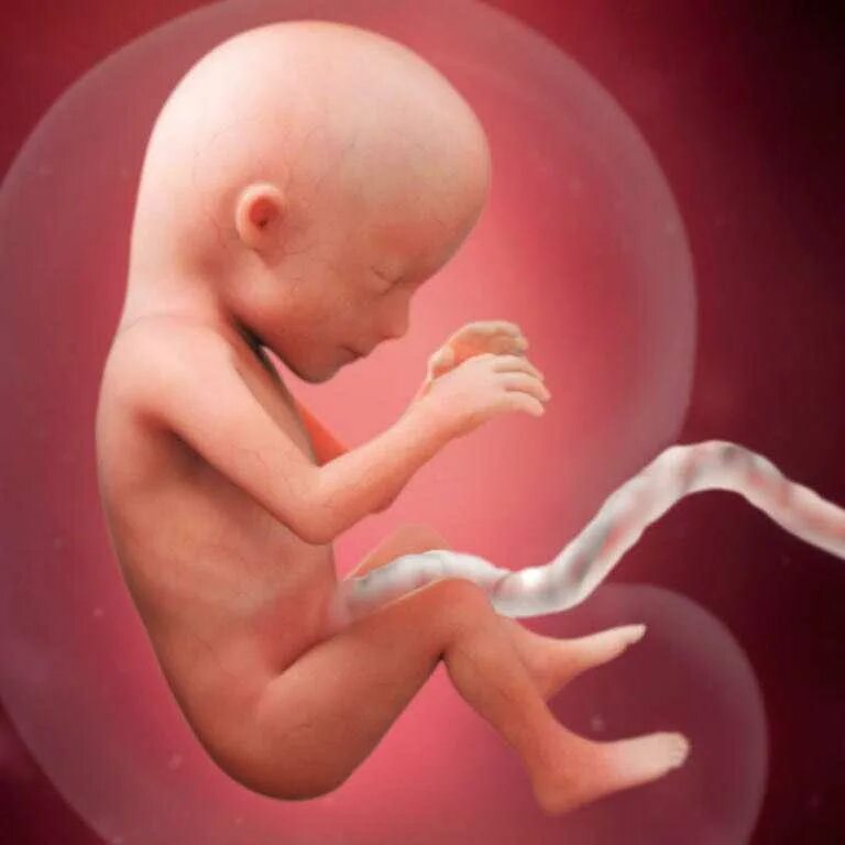 фотосессии по месяцам грудничка. идеи для фотосессии новорожденных по месяцам. 15 на 3 месяца. фото младенца. фотосессия малышей до года с цифрами.