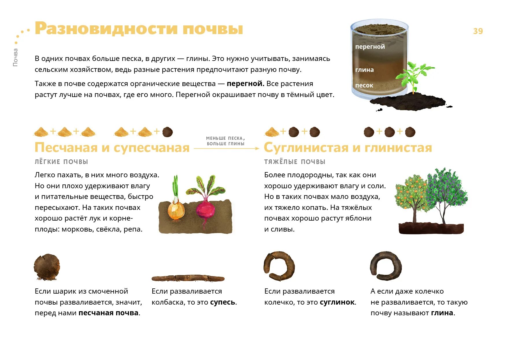 Какие почвы любят овощи. Тип почвы на садовом участке. Удержание влаги в почве. Почва для выращивания овощей. Растения для глинистой почвы.