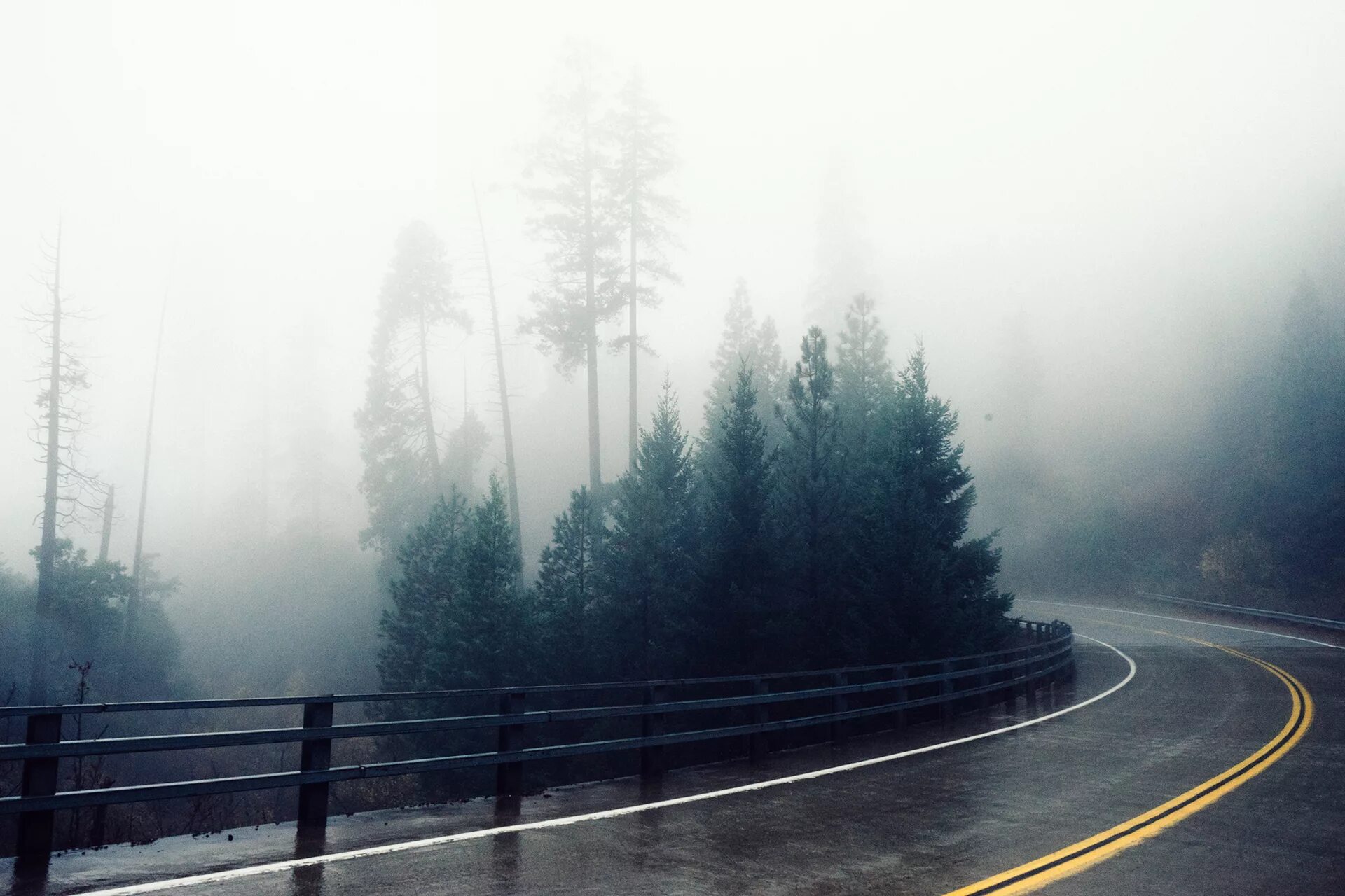 Атмосферные стоки. Туман. Дорога в тумане. Туманный лес. Туманный лес с дорогой.
