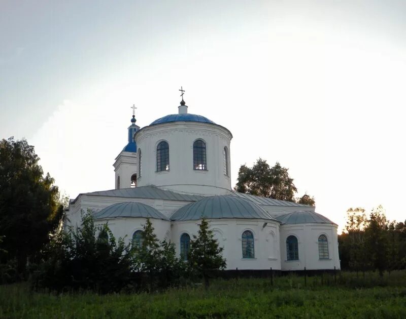 Село нова. Село новая Ольшанка Нижнедевицкого района. Воронежскийобластьнижнедевицкийрайонноваяольшанка. Ольшанка Воронежская обл Церковь. Церковь Ольшанка Аркадакский район.