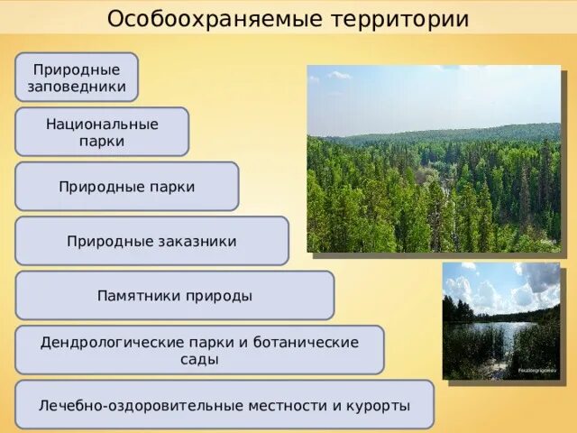 Особоохраняемый заповедники. Заповедник и национальный парк сходство и отличие. Сходство и различие заповедника и заказника. Заповедники и национальные парки Лесной зоны.