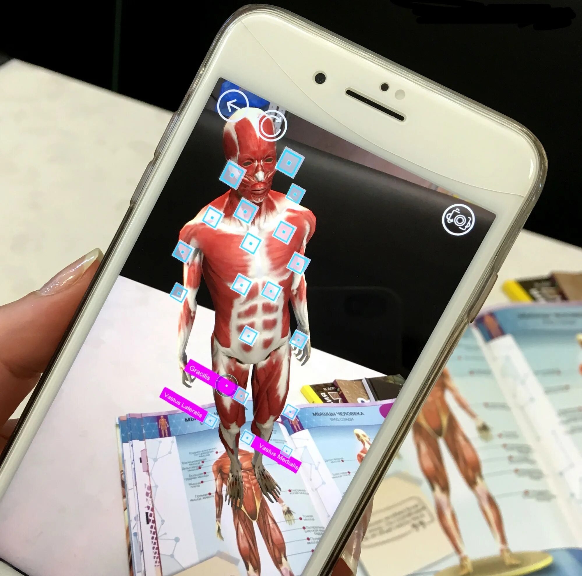 Anatomy 4pda