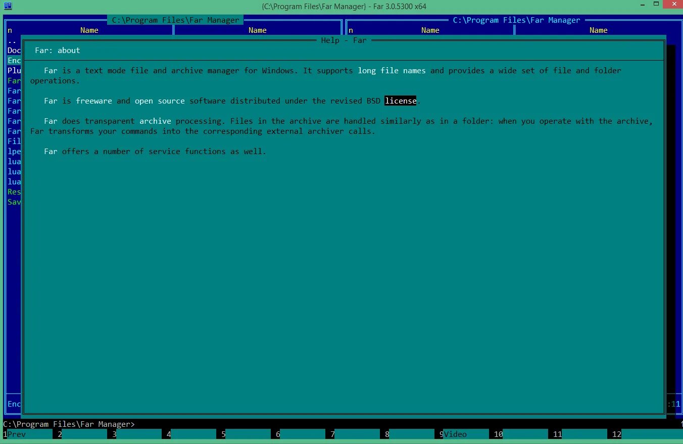 Far программа. Far Manager Windows. Far file and Archive Manager. Far Manager логотип. Far files