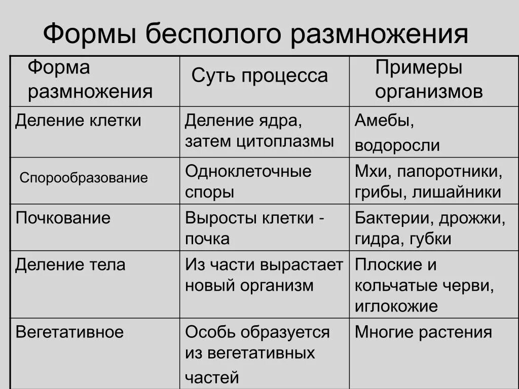 Выбери примеры бесполого размножения. Типы бесполого размножения и примеры. Таблица по биологии 6 класс формы бесполого размножения. Таблица по биологии 9 класс формы бесполого размножения. Виды бесполого размножения организмов таблица.