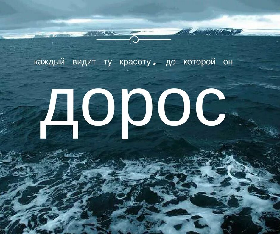 Красота в глазах смотрящег. Фраза красота в глазах смотрящего. В глазах смотрящего цитата. Красота в глазах смотрящего цитата. Каждый видит каким ты