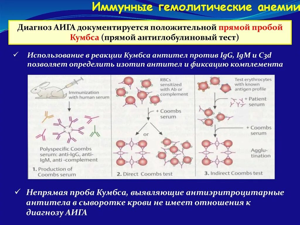 Отрицательная реакция Кумбса при гемолитической анемии. Проба Кумбса при гемолитической анемии положительная. Положительная реакция Кумбса при анемии. Прямой антиглобулиновый тест (Кумбса) это.