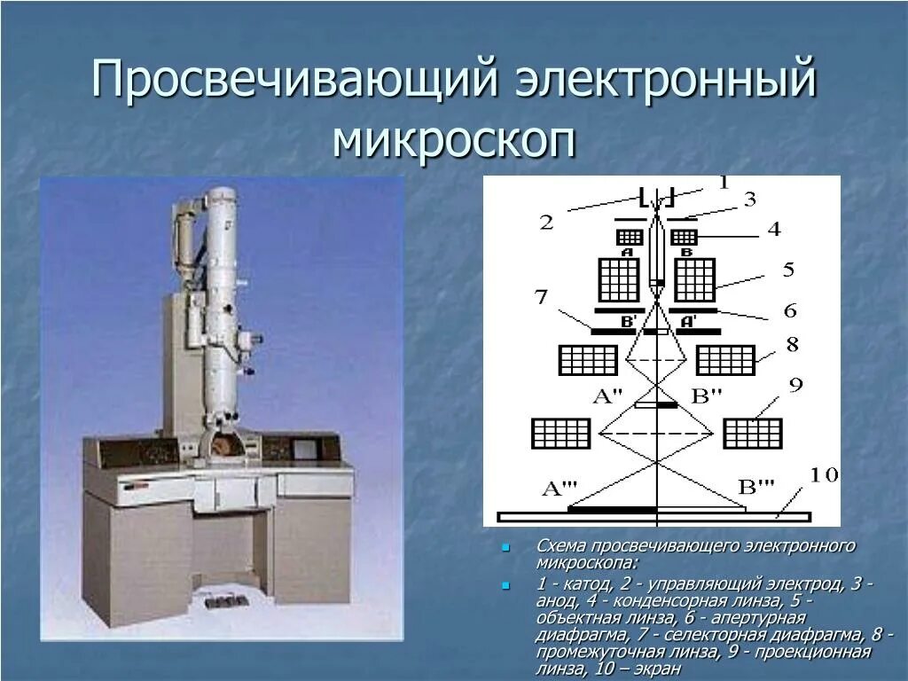 Состав цифрового микроскопа. Просвечивающий (трансмиссионный) электронный микроскоп (Пэм). Просвечивающая электронная микроскопия схема. Принципиальная схема растрового электронного микроскопа. Просвечивающий электронный микроскоп Пэм-100.