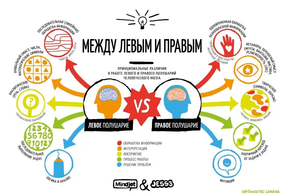 За что отвечает правое полушарие у женщин