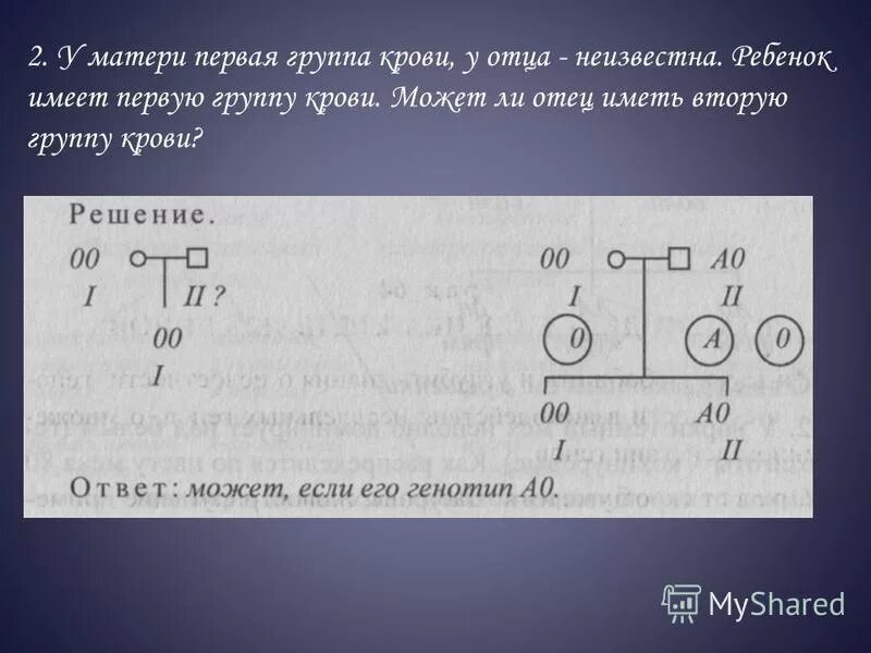 Первая группа имеет генотип