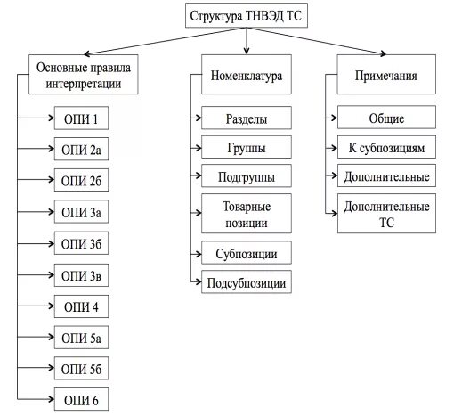 Структура тн