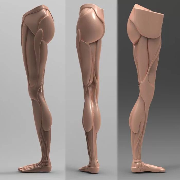 Leg 3d