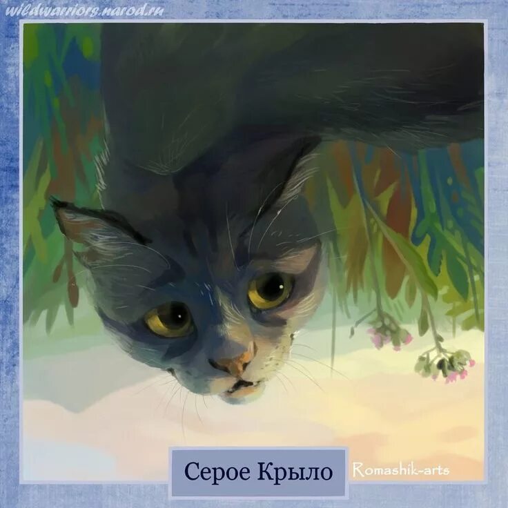 Черепаший хвостик коты. Коты воители romashik-arts. коты воители серое крыло и сланница. коты воители серое крыло и гром. коты воители пышноус.