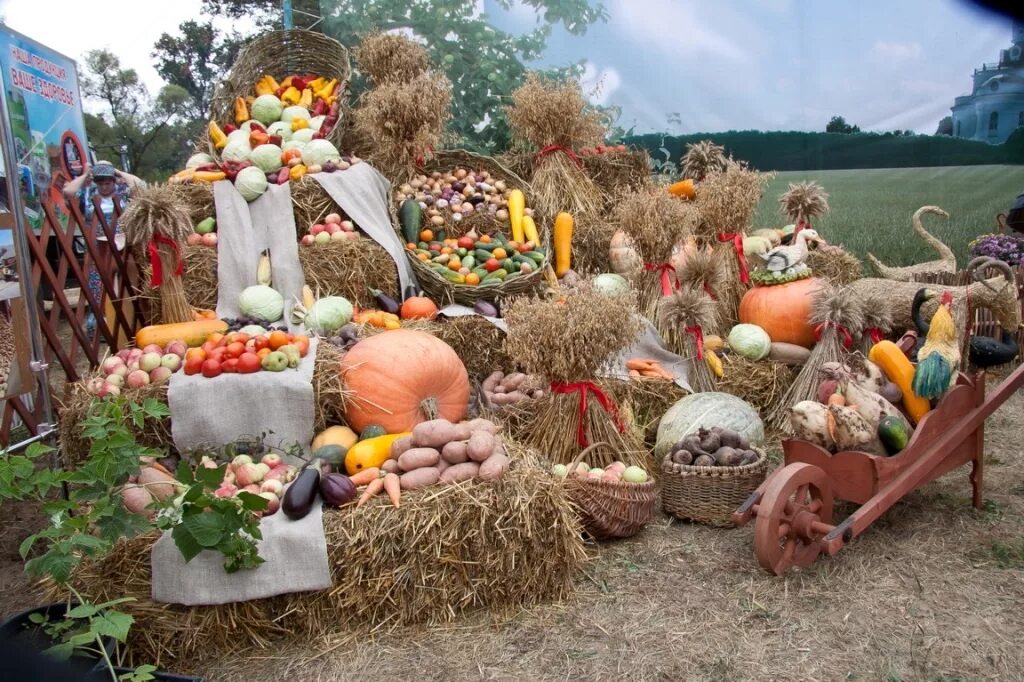 белгородская область сельский туризм хуторок. праздник урожая. сельское подворье. стиль деревенская ярмарка. сельское подворье.