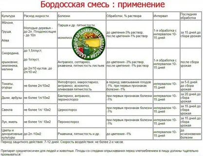 Когда сеять эустому на рассаду в 2023