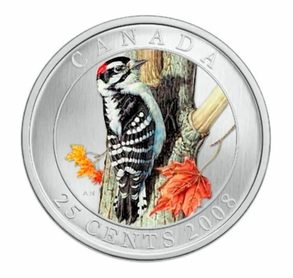 Монета с птицей. Серебряная монета с птицей. Монета цветная птица. Монеты Канада птица. Birds монеты