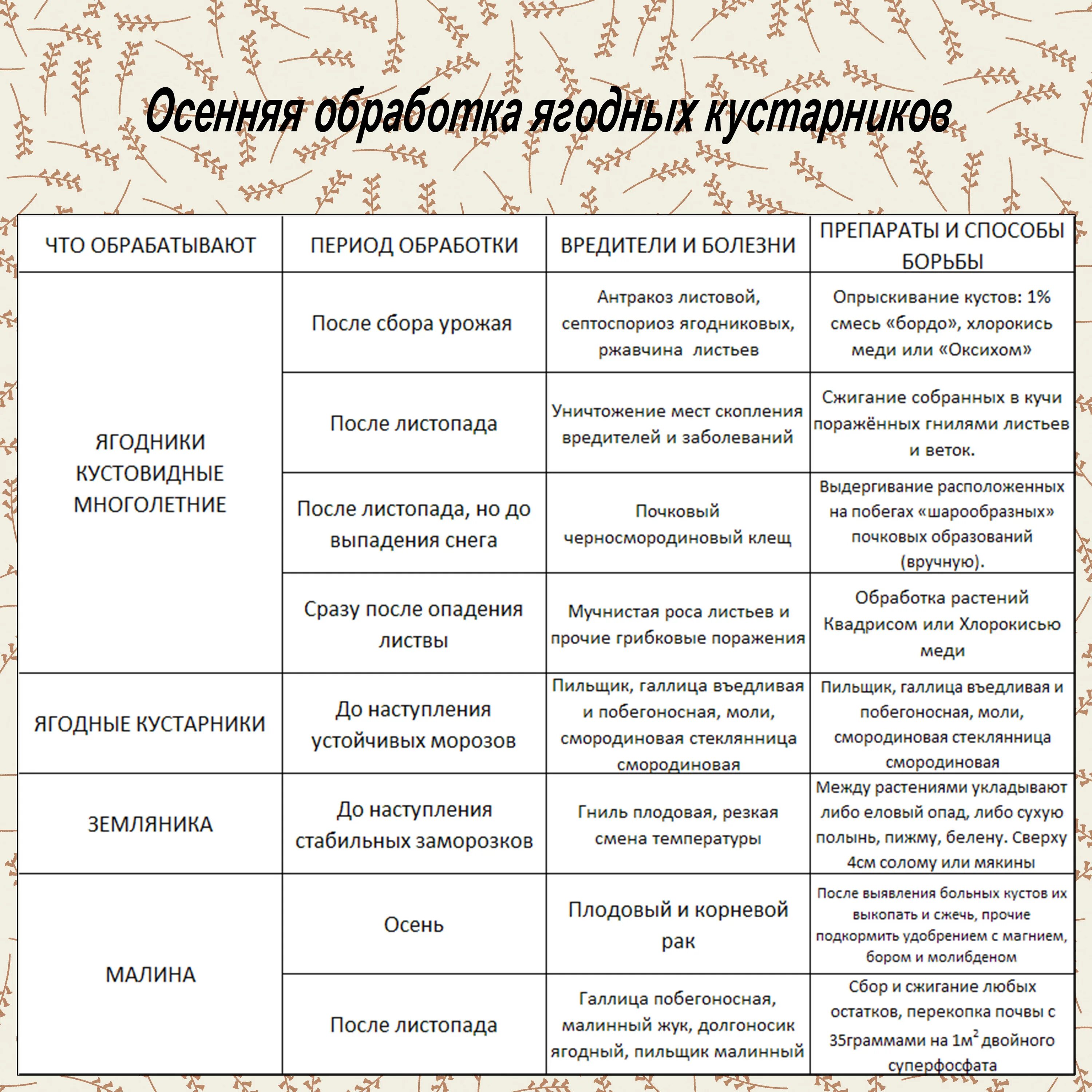 Чем обработать смородину от вредителей и болезней. Обработка плодовых деревьев и кустарников от вредителей и болезней. обработка сада осенью от вредителей и болезней таблица. обработка деревьев осенью от вредителей и болезней. схема обработки плодовых деревьев от болезней.